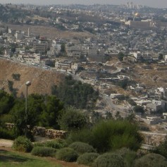 Road from Mt of Olives 2
