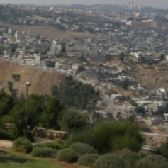 Road from Mt of Olives 2